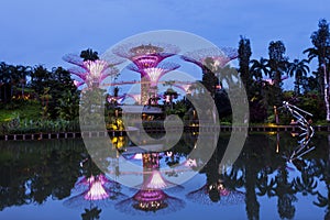 Gardens by the Bay reflecting in the lake