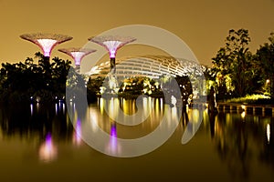 Gardens by the Bay Singapore