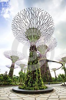 Gardens by the Bay Singapore