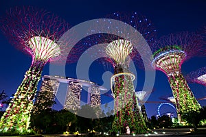 Gardens by the Bay Singapore