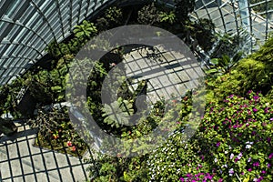 Gardens by the Bay Singapore