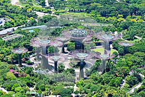 Gardens by the Bay, Singapore, Asia. Aerial view of Park with Supertrees. photo