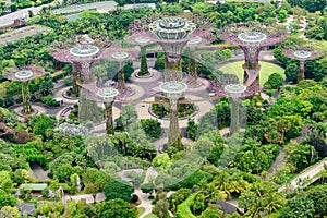 Gardens by the Bay, Singapore, Asia. Aerial view of Park with Supertrees. photo