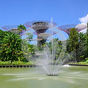 Gardens by the Bay, Singapore, Asia.View of fountain and Supertrees. photo