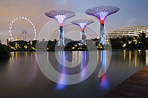 Gardens by the Bay & Singapore Flyer, Singapore