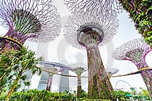 Gardens by the Bay - Singapore`s Garden of Wonderâ€Ž