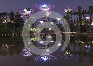 Gardens by the Bay - Super trees