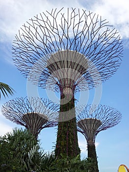 Gardens by the Bay SUPERTREE GROVE LAWN AND COLONNADE in Singapore