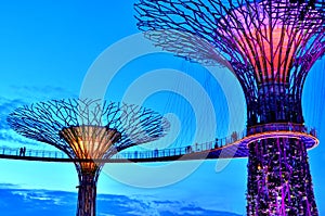 Gardens by the Bay Supertrees, Singapore