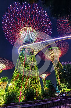 Gardens by the Bay with the Supertrees at twilight portrait format in Singapore