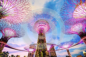 Gardens by the bay at twilight, Singapore