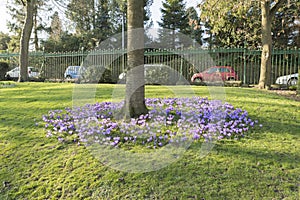 Gardens in Beaumont Park, Huddersfield