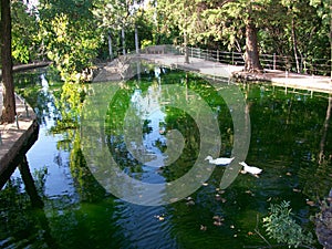 Gardens-CARMEN DE LOS MARTIRES-Granada-ANDALUSIA-SPAIN