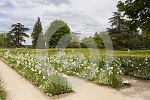 Gardens of the castle of Chaumont sur loire