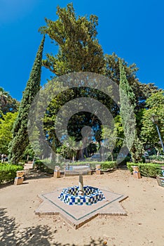 Gardens of Catalina de Rivera in Seville, Spain