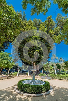 Gardens of Catalina de Rivera in Seville, Spain