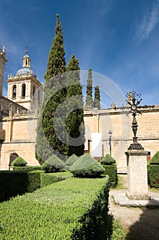 Gardens of the cathedral of Ciudad Rodrigo photo