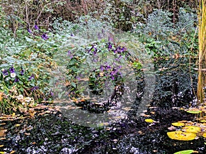 Gardens of chaumont sur loire castel. Chaumont Castel in Loire Valley, France. Edition gardens paradise.