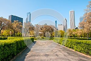 Gardens of Chicago Grant Park with skyscrapers on background, USA