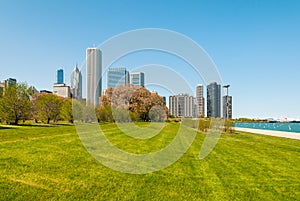 Gardens of Chicago Grant Park with skyscrapers on background, USA