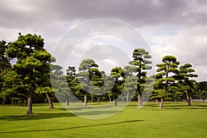 Gardens of the Emperial Palace in Tokyo, Japan