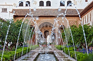 Gardens of the Generalife in Spain