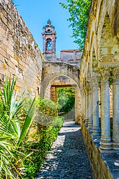 Gardens in the grounds of Church of St. John of the Hermits in Palermo, Sicily, Italy