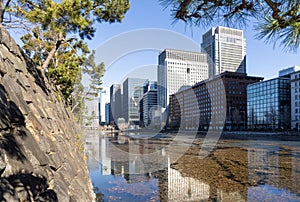 Gardens of the Imperial Palace in Tokyo, Japan