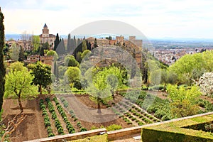 La Alhambra photo