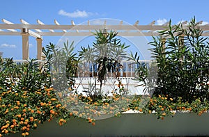 Gardens at Marriott Resort St Thomas