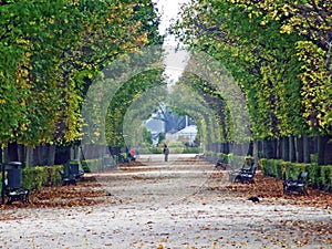 Gardens with maze of Schoenbrunn or Schonbrunn Palace SchÃÂ¶nbrunner Schlosspark, Wien  - Vienna, Austria