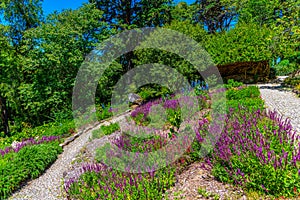 Gardens of the national palace of Pena, Sintra, Portugal