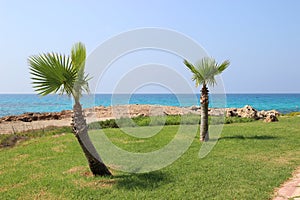 Gardens near the Ayia Napa beach, Cyprus