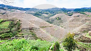 gardens near Dazhai village in country