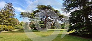 Gardens at the Osborne gardens  in the summer, Isle of Wight, England