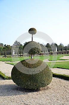 Gardens of The Palace of Versailles