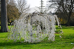 Gardens of The Palace of Versailles