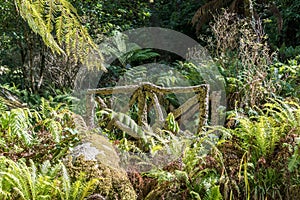 Gardens of Palacio de Pena in the outskirts of Sintra in Portugal