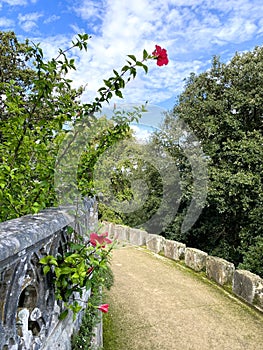 Gardens and pathways at Monserrate Palace near Lisbon, Portural