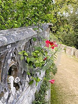 Gardens and pathways at Monserrate Palace near Lisbon, Portural