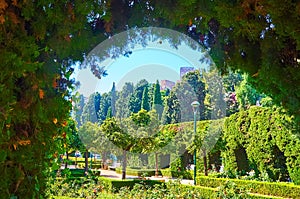 Gardens of Pedro Luis Alonso through the thuja arch, Malaga, Spain