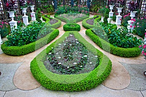 Gardens at Phipps Conservatory