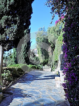 Gardens of Puerta-Oscura-Malaga-Andalusia photo