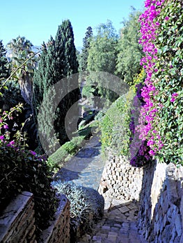 Gardens of Puerta-Oscura-Malaga-Andalusia photo