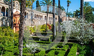 The gardens of the Real AlcÃ¡zar of Seville in spring