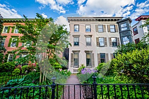 Gardens and row houses in Bolton Hill, Baltimore, Maryland