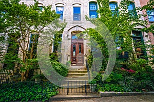 Gardens and row houses in Bolton Hill, Baltimore, Maryland