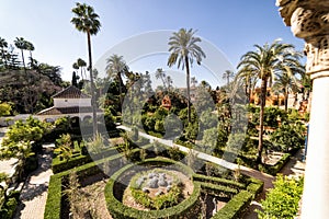 The gardens of the Royal Alcazar. Seville, Spain photo
