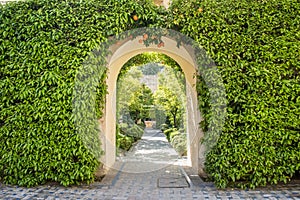 Gardens of the Royal AlcÃ¡zar of Seville, Spain