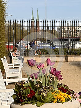 The Gardens of the Royal Castle in Warsaw looking out into Praga - POLAND